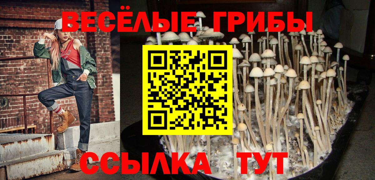 Псилоцибиновые грибы мухоморы Комсомольск-на-Амуре