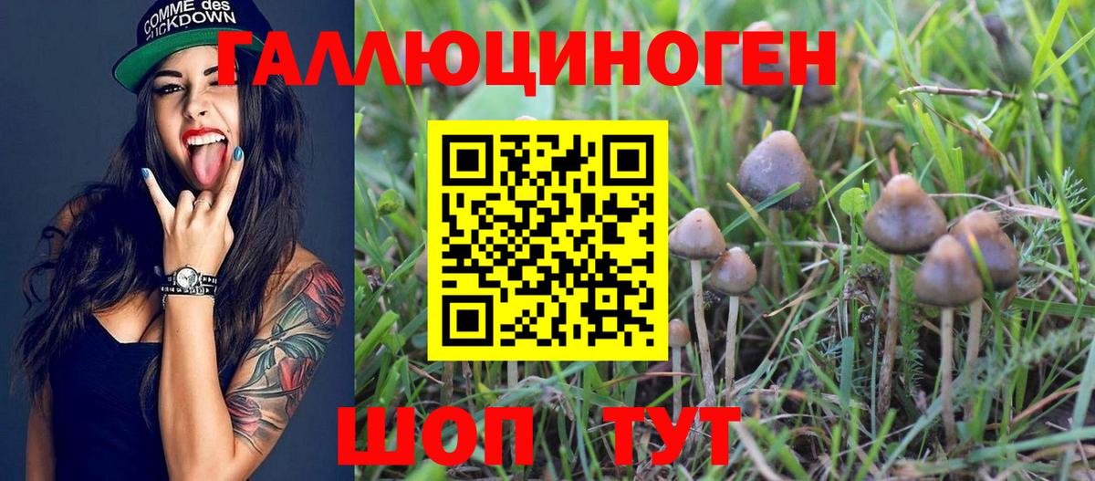 Галлюциногенные грибы Psilocybine cubensis  Вход с VPN  Комсомольск-на-Амуре 